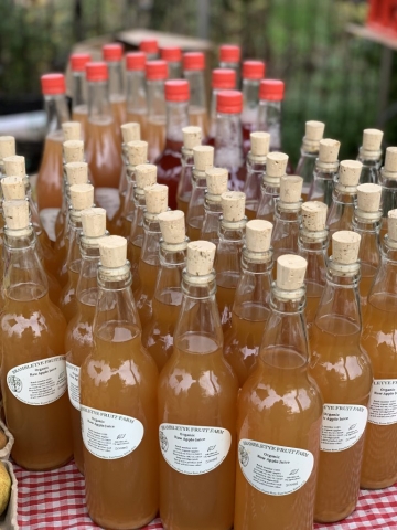 Raw apple juice