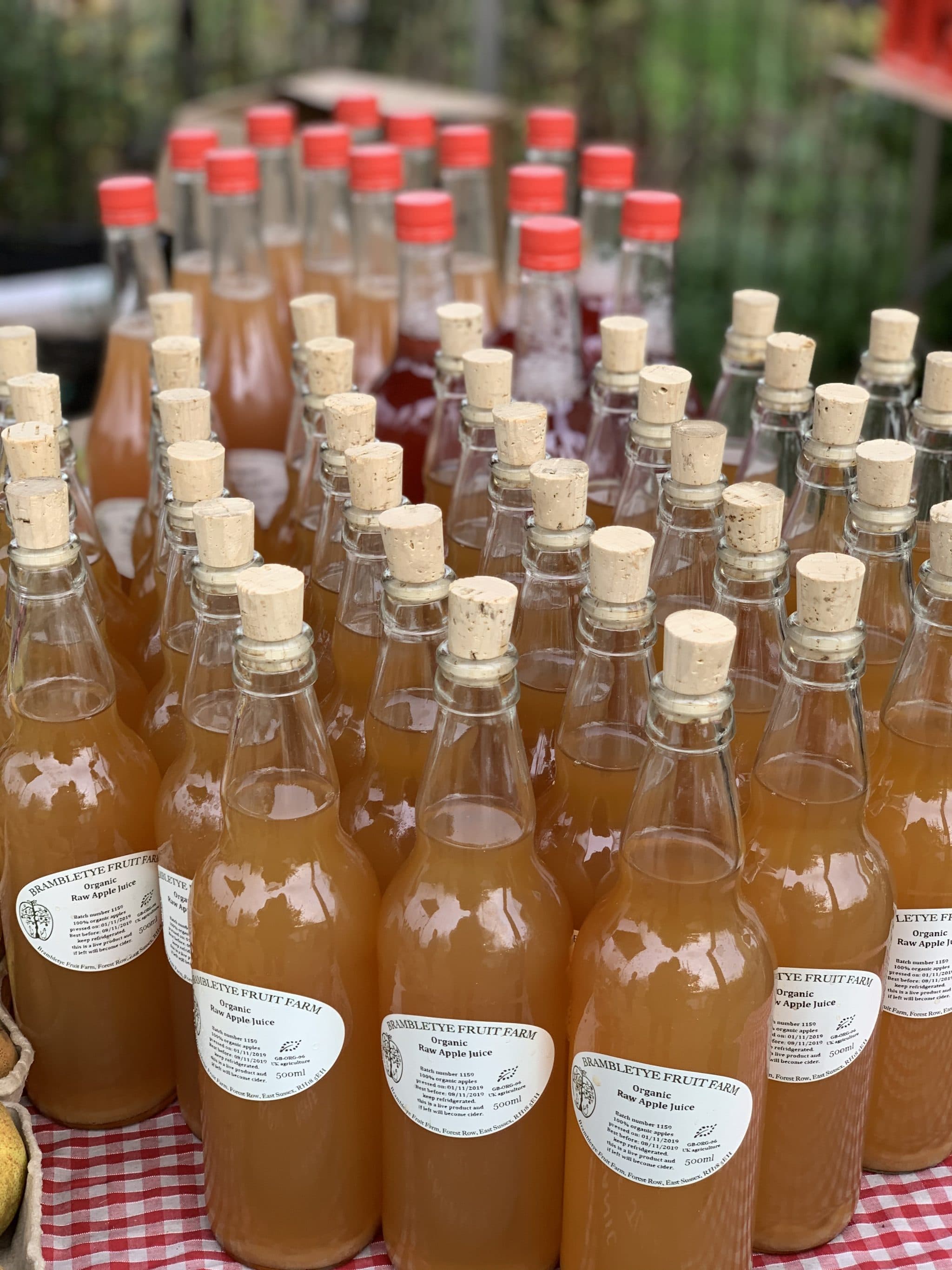Raw Juice