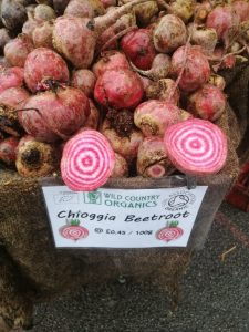 Chioggia Beetroot