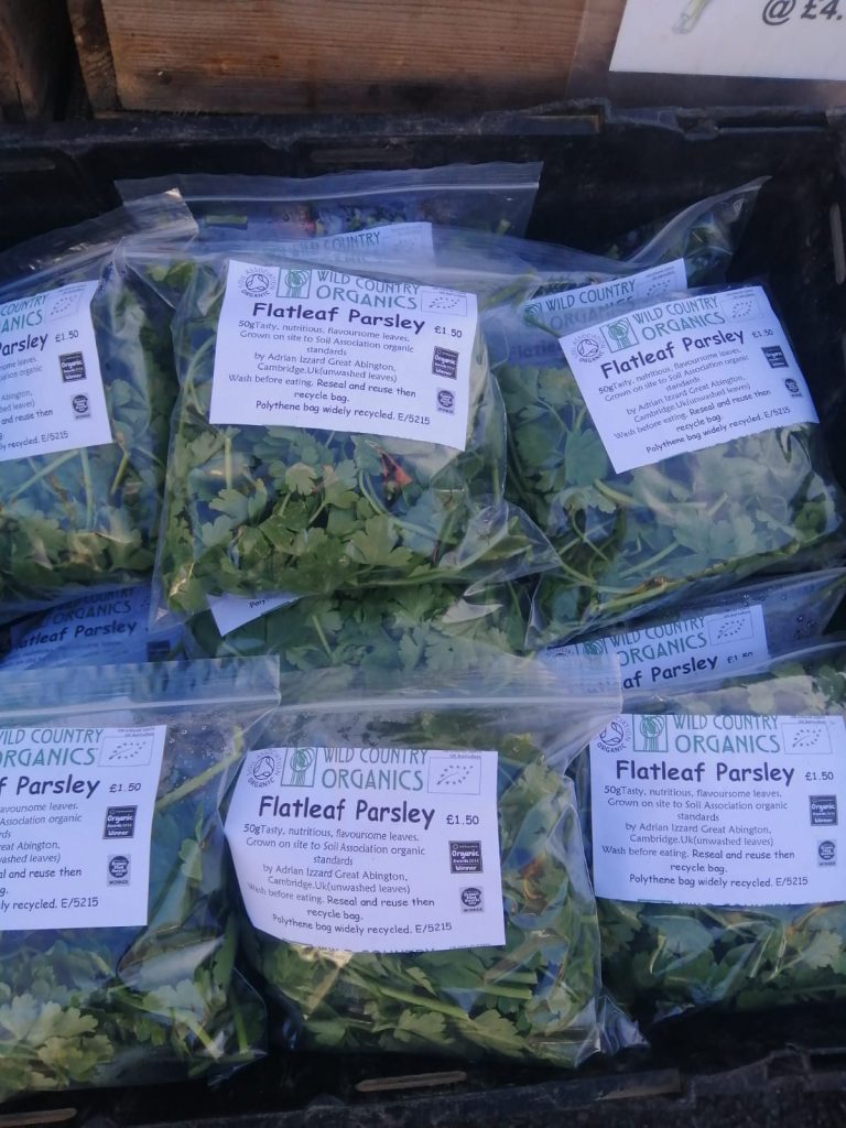 Parsley