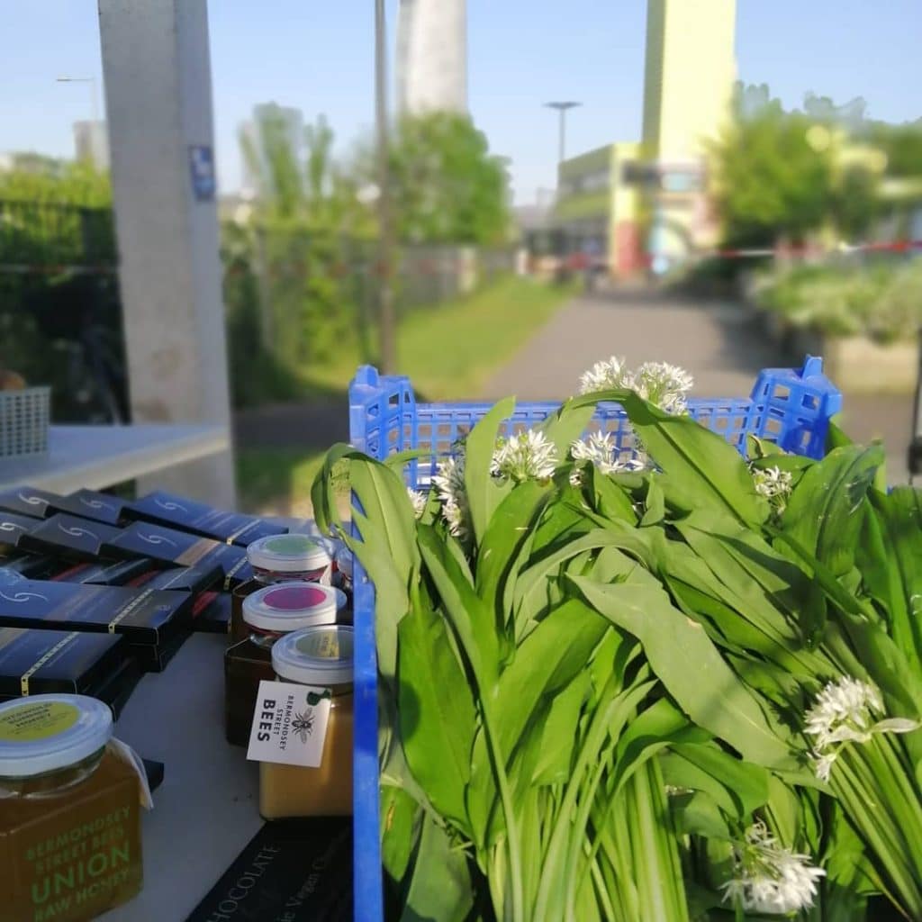 Wild Garlic