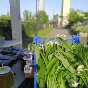 Wild Garlic